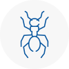 Ant Removals In West Boldon