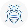 Bed Bug Extermination In West Boldon