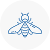 Bee Nest Removal West Boldon