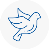 Bird Prevention West Boldon