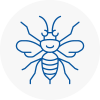 West Boldon Hornet Nest Removals