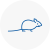 Mice Exterminators In West Boldon