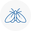 Moth Control Specialists In West Boldon