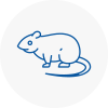 Rat Control West Boldon