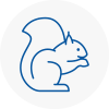 West Boldon Rodent Removals
